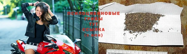 кокс Аркадак