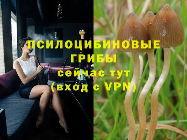 синтетический гашиш Армянск