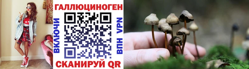 Псилоцибиновые грибы GOLDEN TEACHER  Артёмовск 